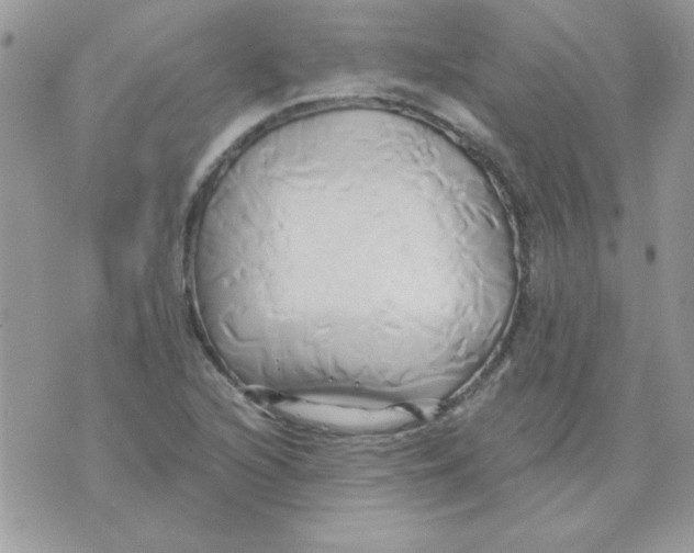 X0000071381216200607212204