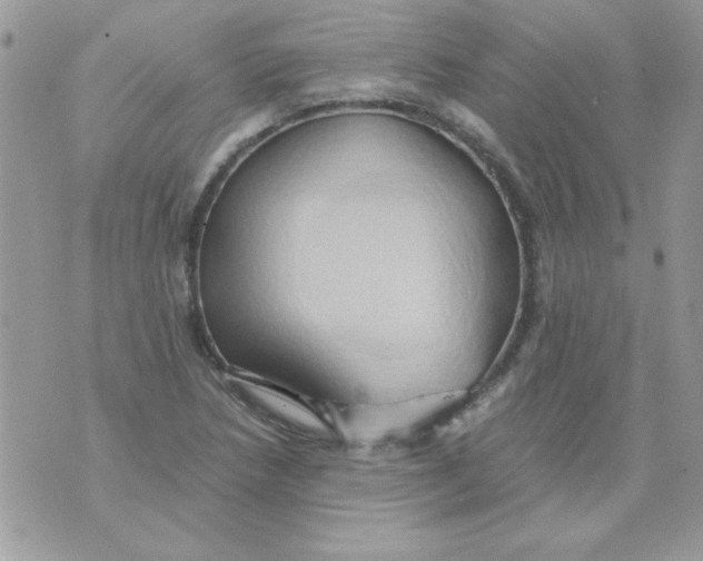 X0000071381218200607212204