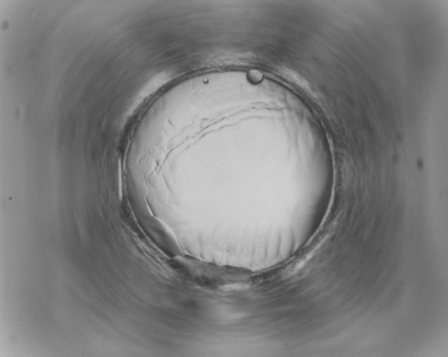 X0000071381219200607212204