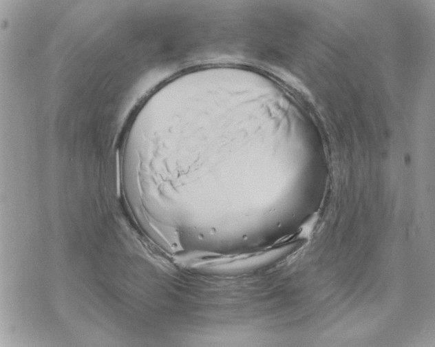 X0000071381223200607212204