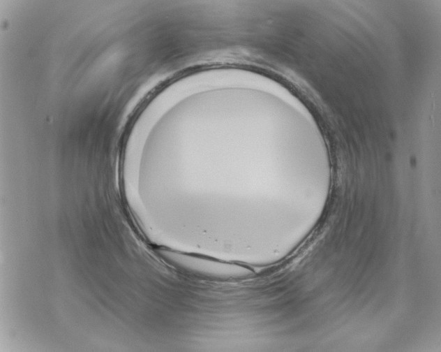 X0000071381224200607212204