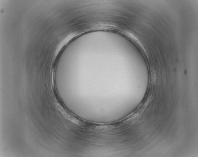 X0000071381227200607212204