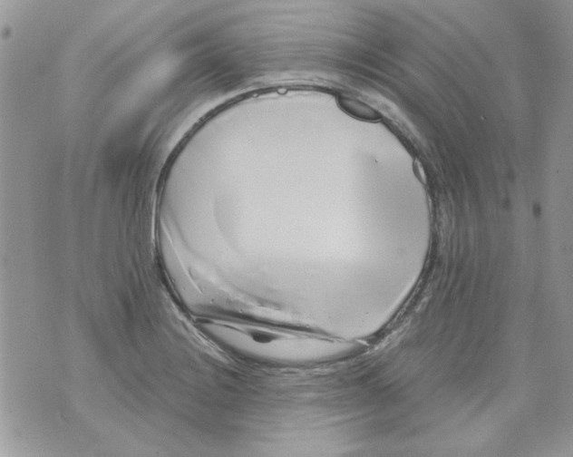 X0000071381228200607212204