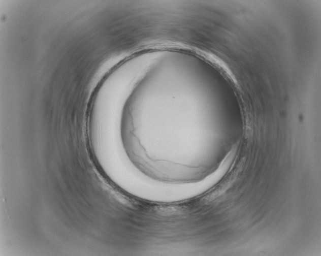 X0000071381231200607212204