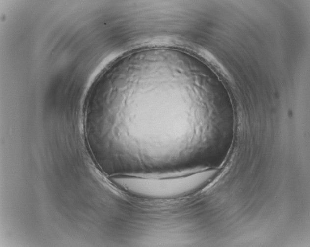 X0000071381232200607212204