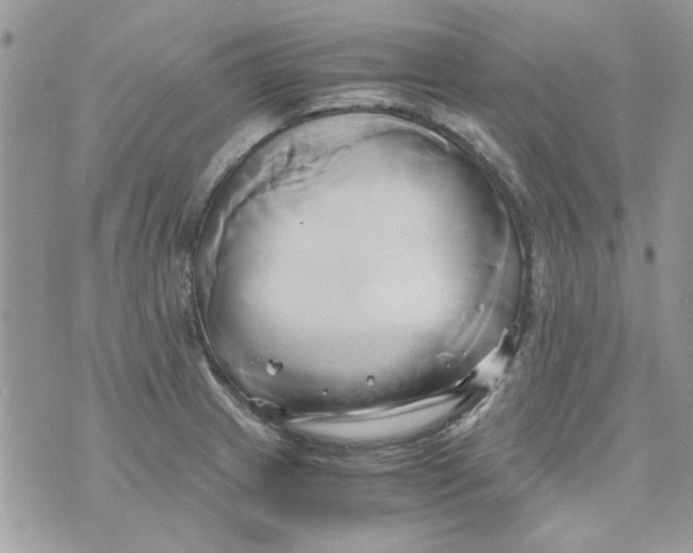 X0000071381233200607212204