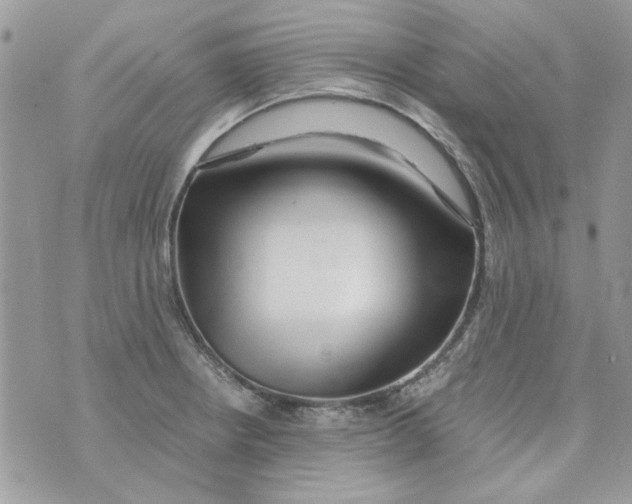 X0000071381234200607212204