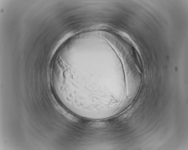 X0000071381235200607212204