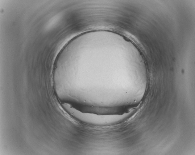 X0000071381236200607212204