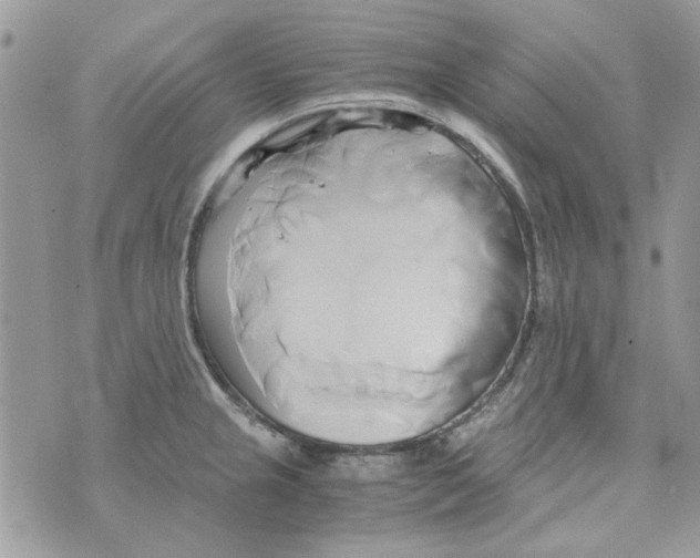 X0000071381237200607212204