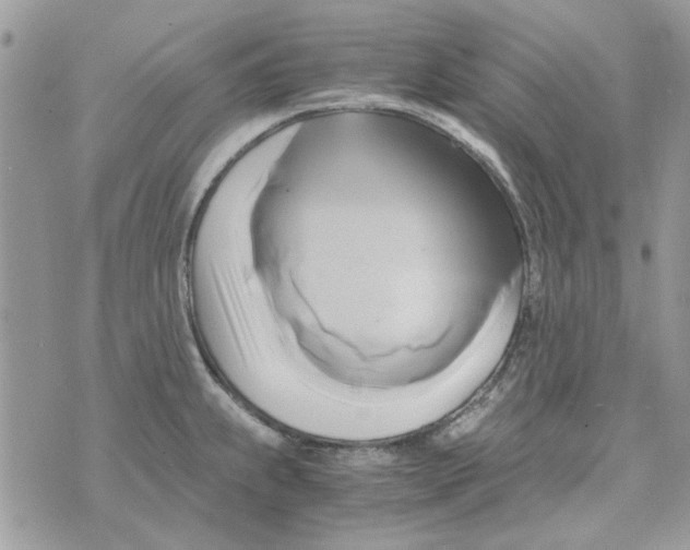 X0000071381239200607212204