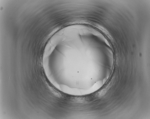 X0000071381241200607212204