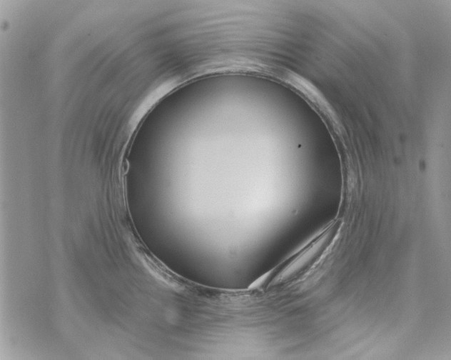 X0000071381242200607212204