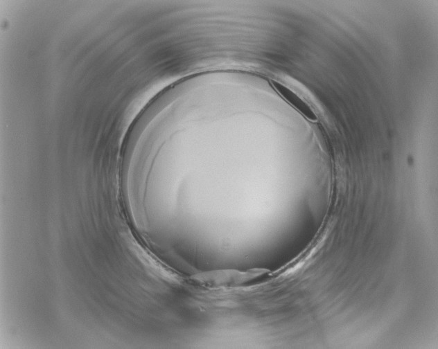 X0000071381244200607212204