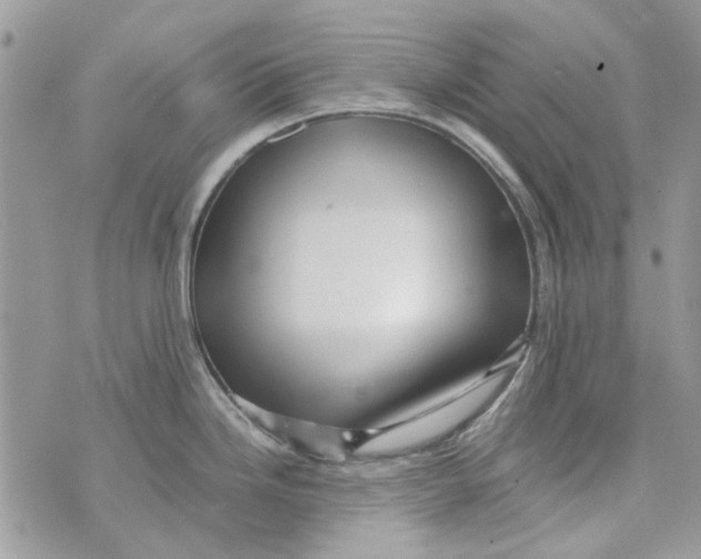 X0000071381246200607212204