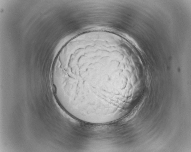 X0000071381247200607212204