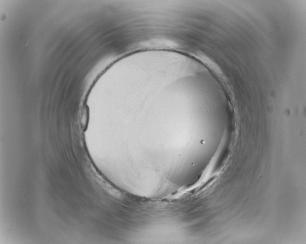 X0000071381248200607212204