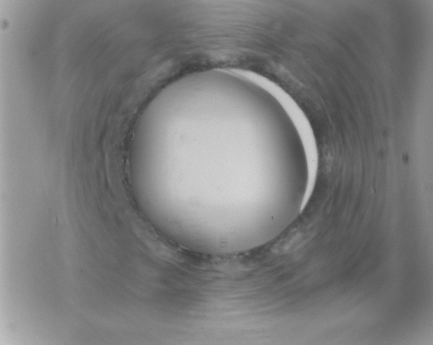 X0000071381249200607212204