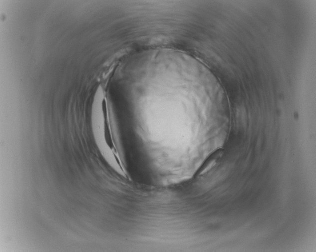 X0000071381250200607212204