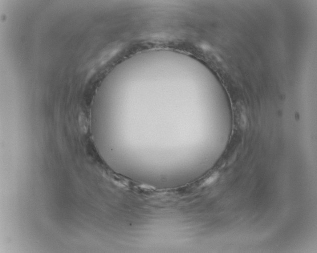 X0000071381253200607212204