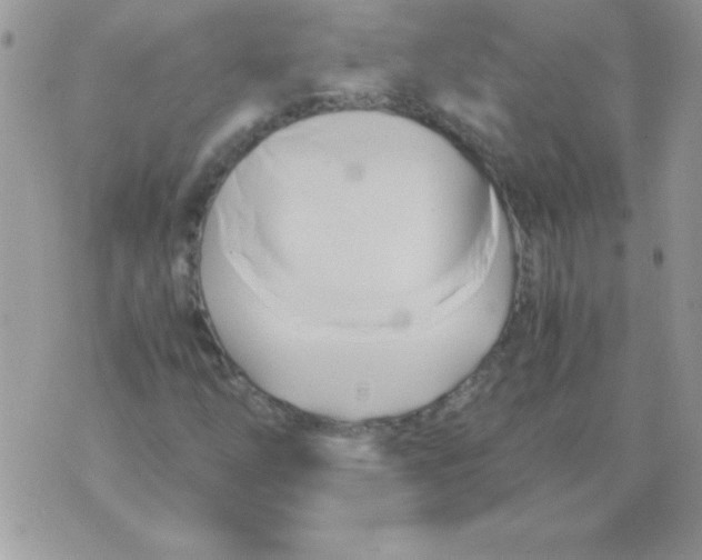 X0000071381254200607212204