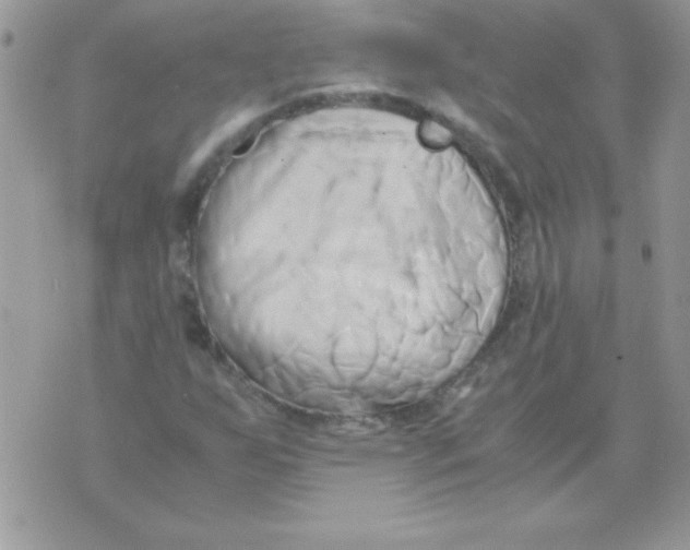 X0000071381255200607212204