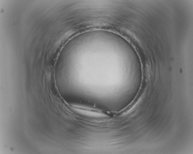 X0000071381257200607212204