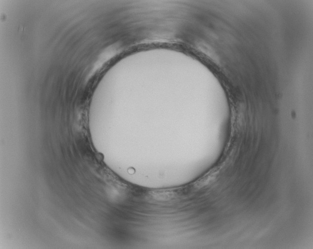 X0000071381258200607212204