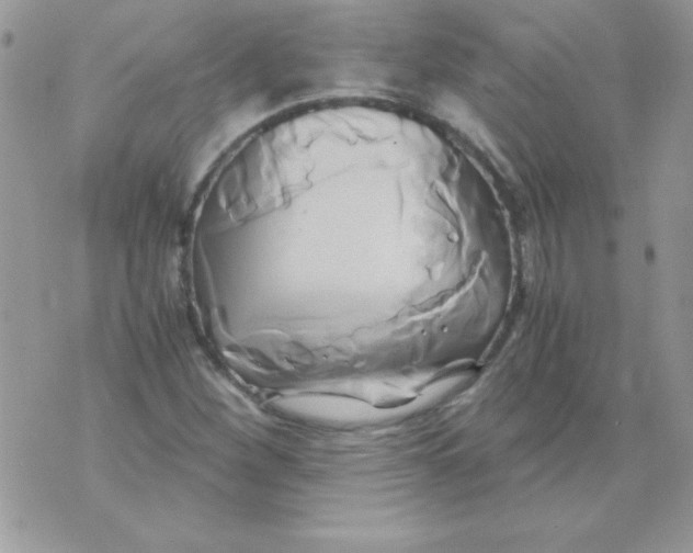 X0000071381260200607212204