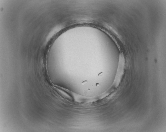 X0000071381261200607212204