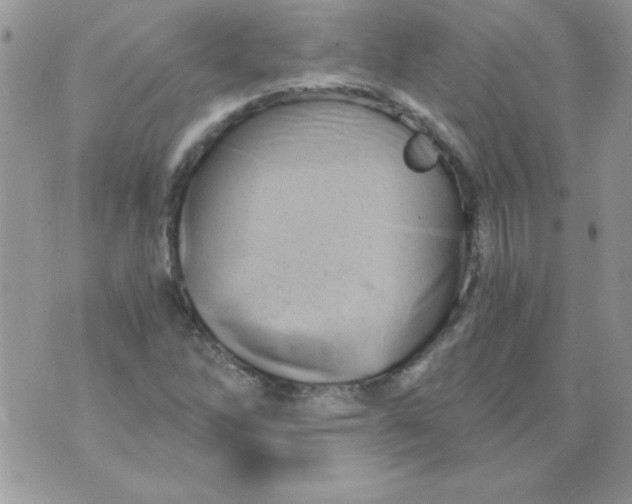 X0000071381262200607212203