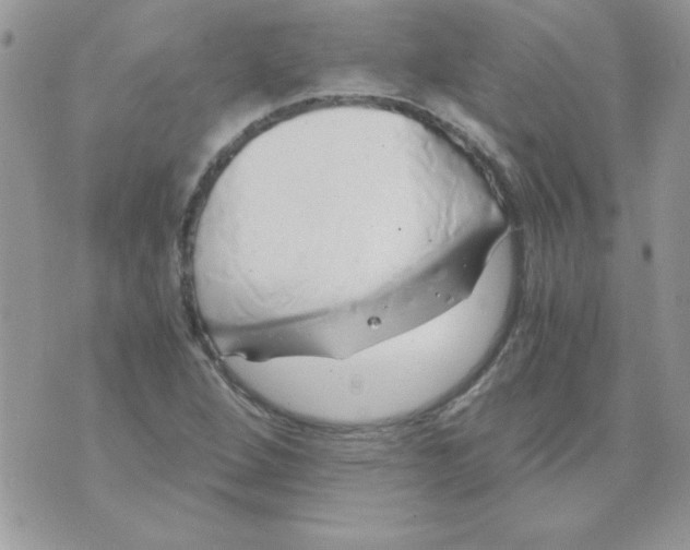 X0000071381264200607212203