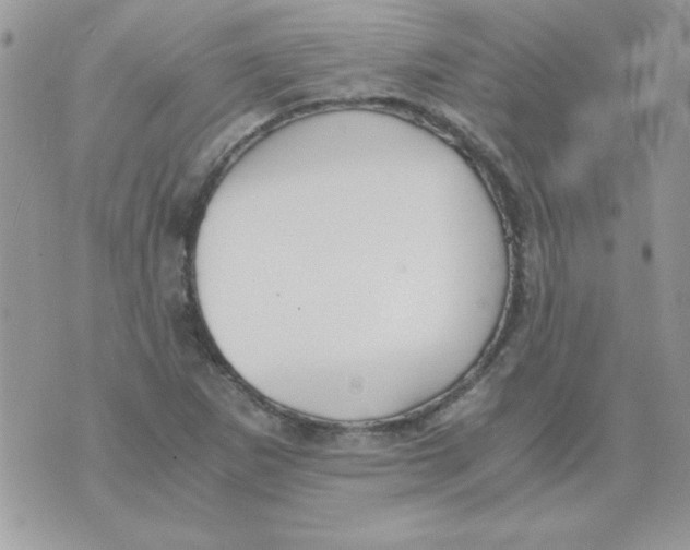 X0000071381265200607212203