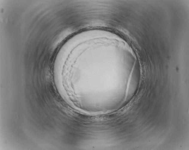 X0000071381266200607212203