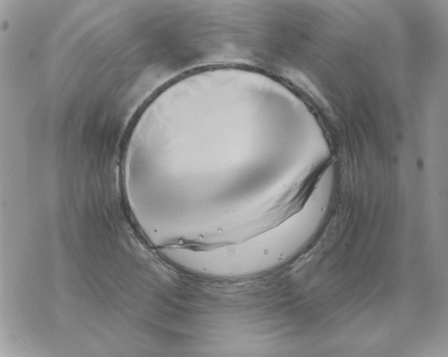 X0000071381268200607212203