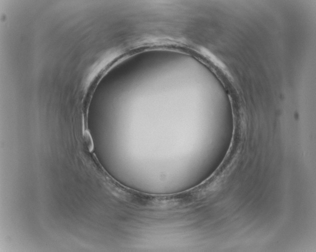 X0000071381269200607212203