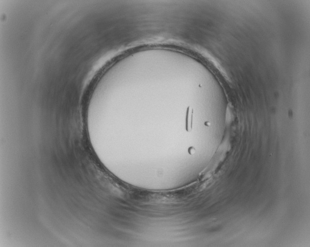 X0000071381270200607212203