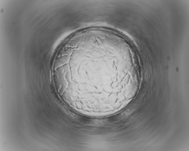 X0000071381271200607212203