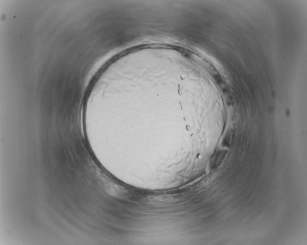 X0000071381272200607212203