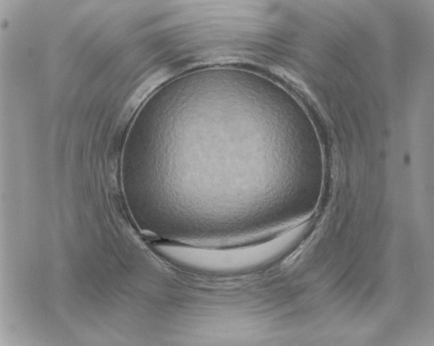 X0000071381273200607212203