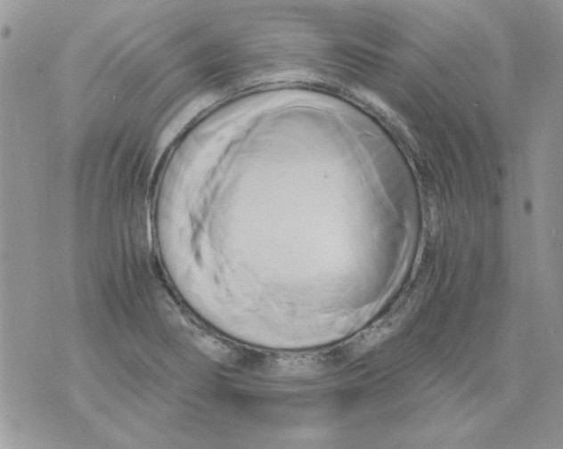 X0000071381274200607212203