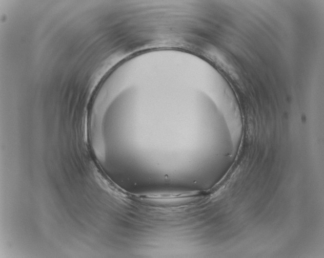 X0000071381276200607212203