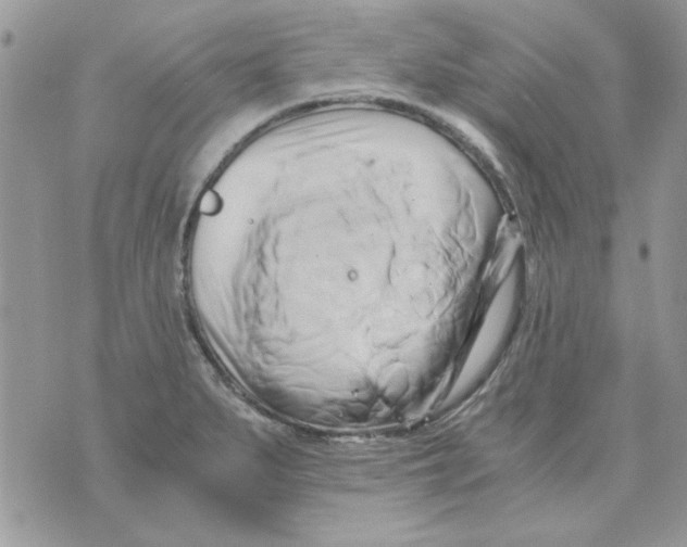 X0000071381279200607212203