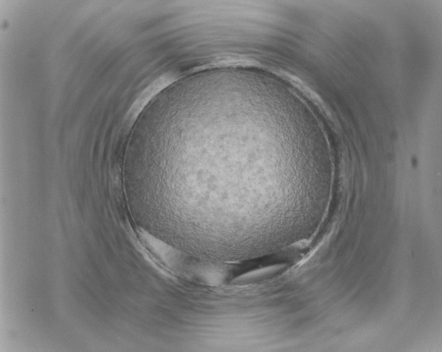 X0000071381281200607212203