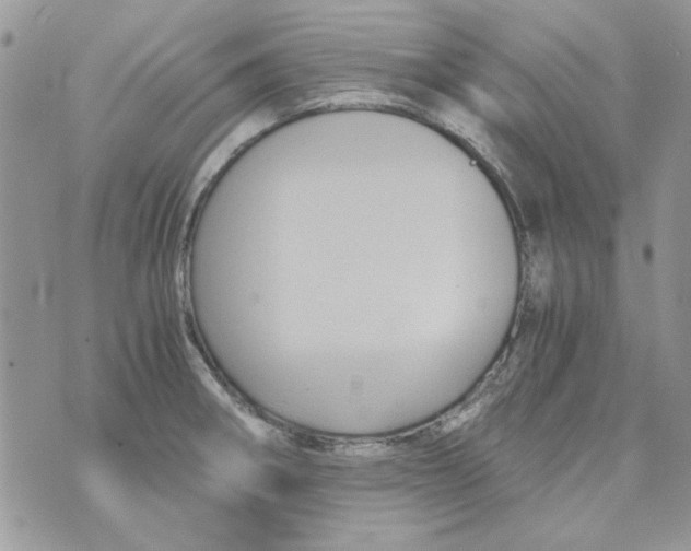 X0000071381282200607212203