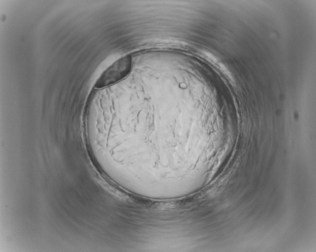 X0000071381283200607212203