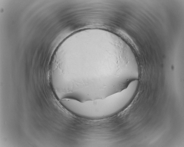 X0000071381284200607212203