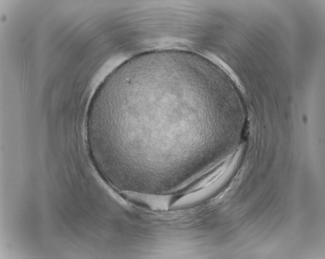 X0000071381285200607212203