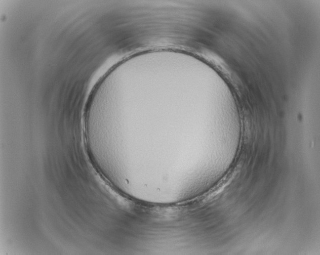 X0000071381286200607212203