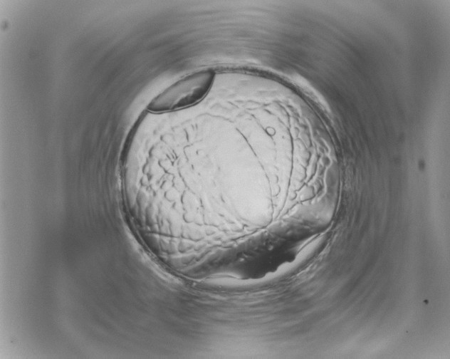 X0000071381287200607212203